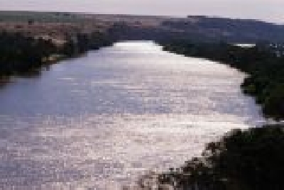 Murray River-SA Murray4.jpg